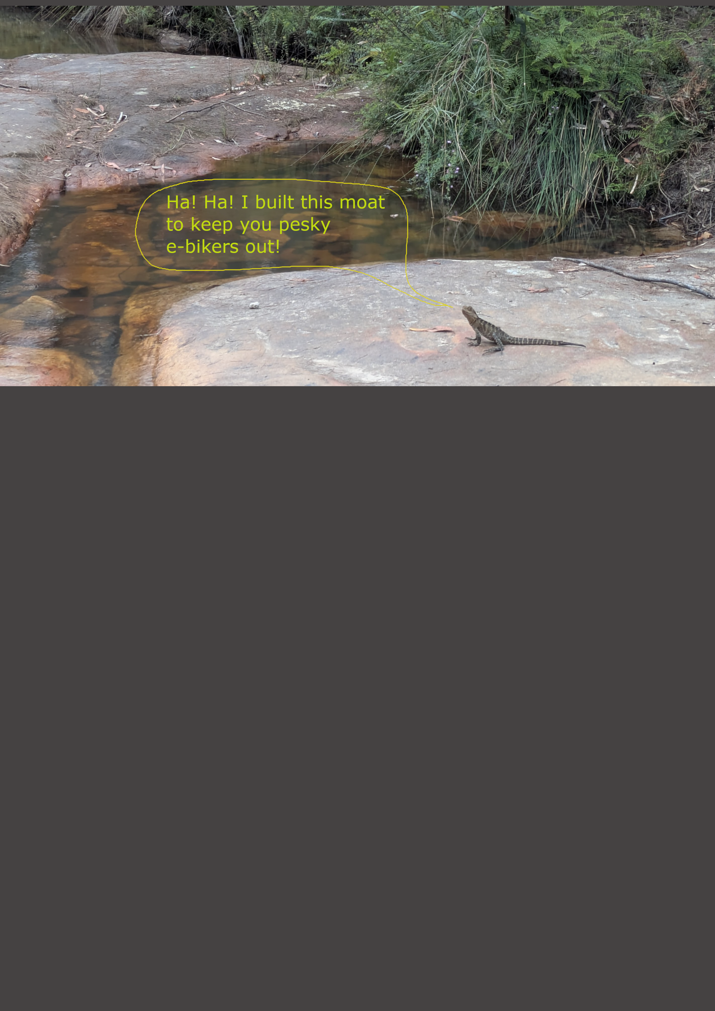 Lizard moat.png