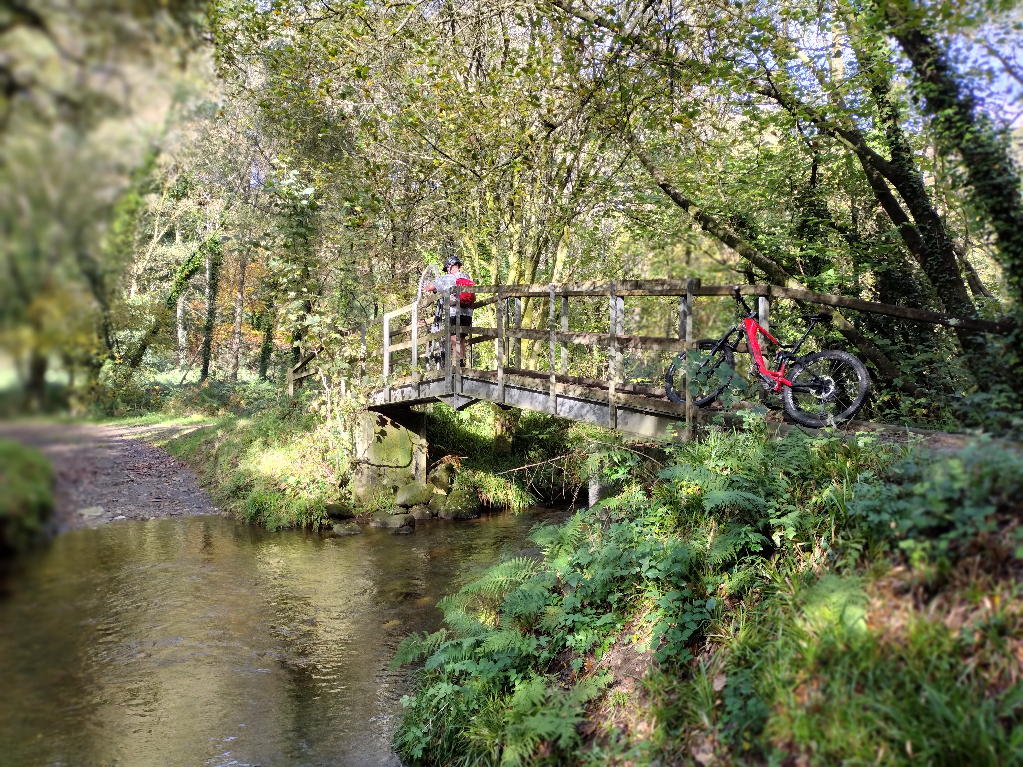 Llys-Y-Fran Country Park 2.jpg