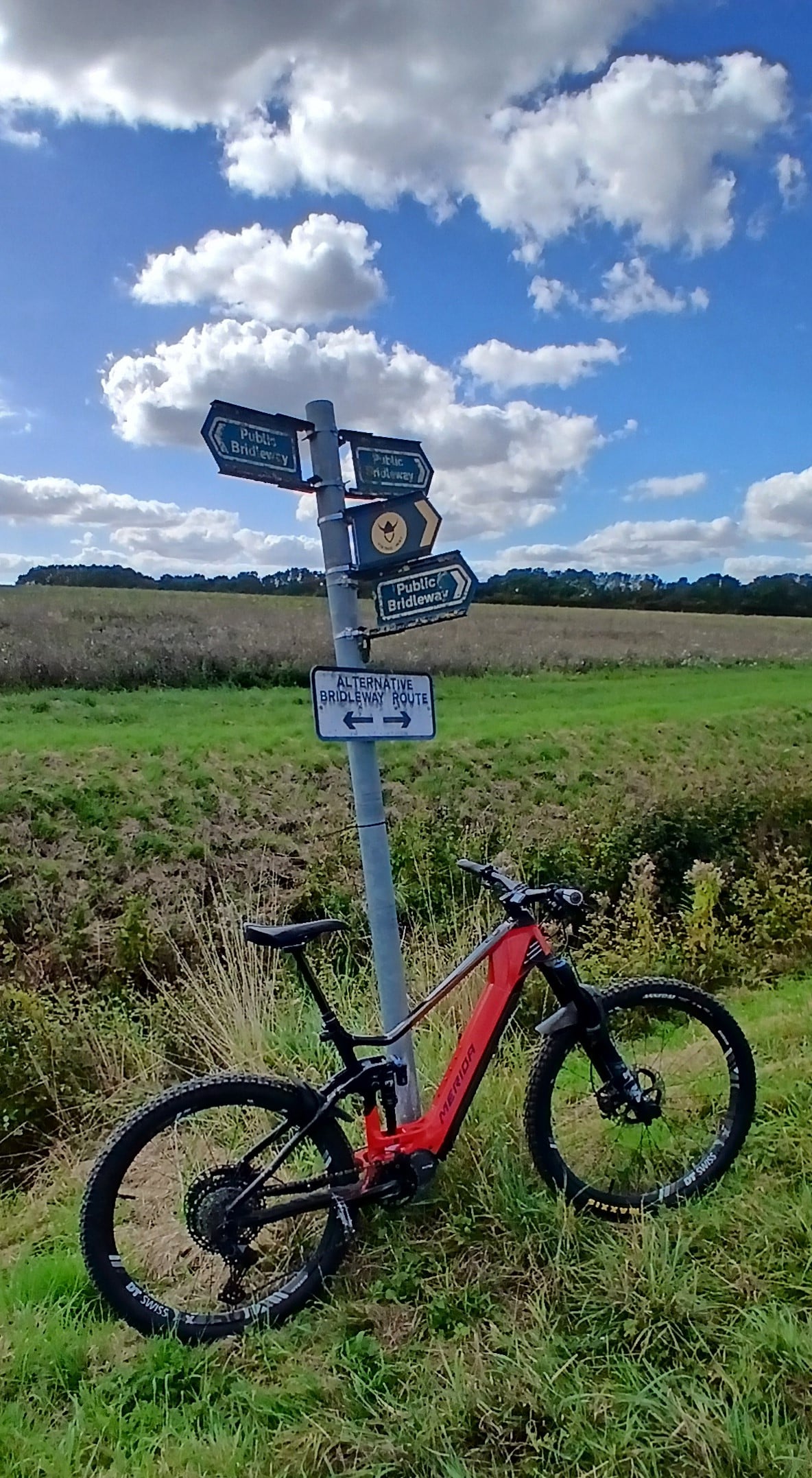 Local Signposts.jpg