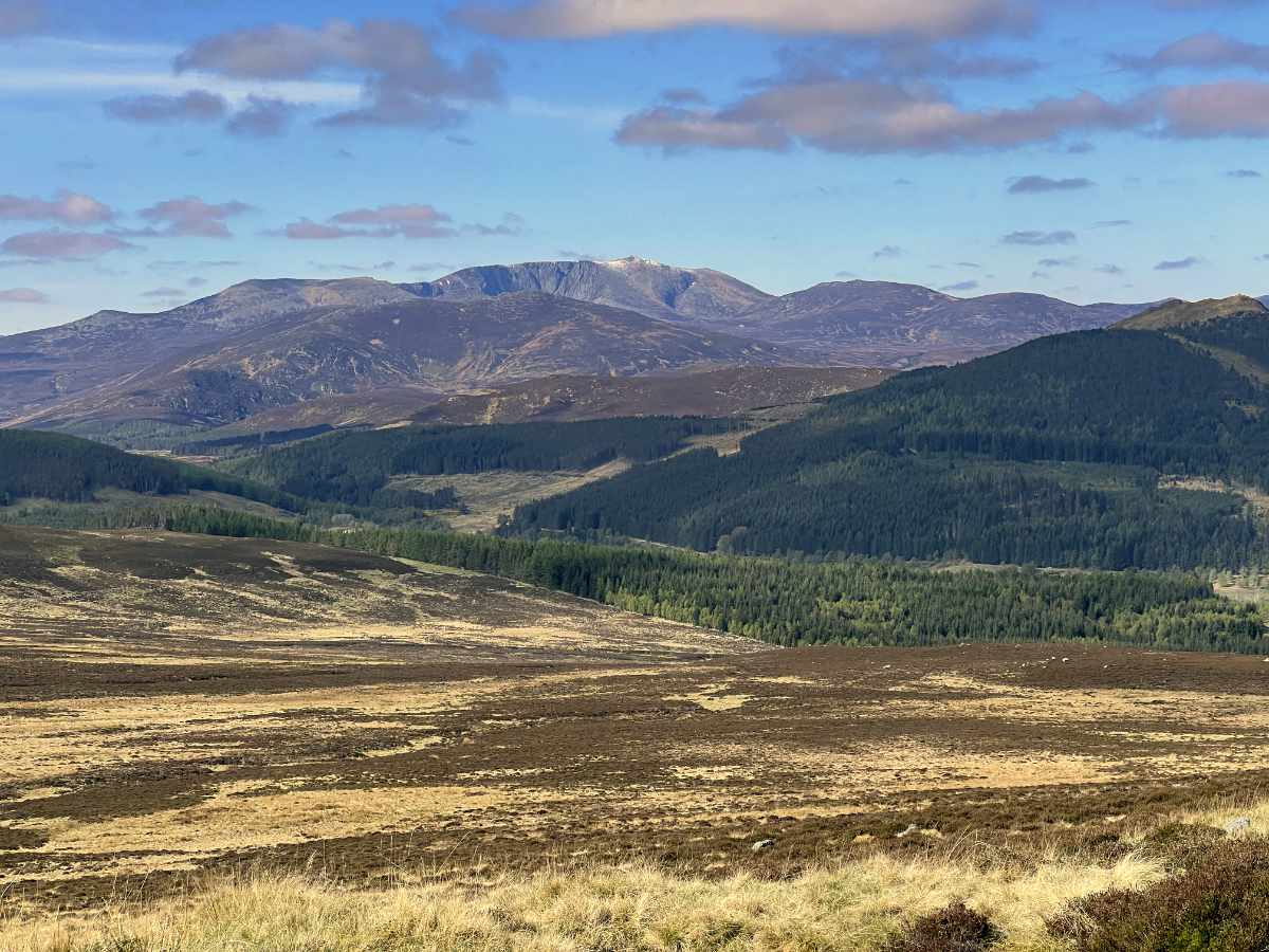 Lochnagar from climb to Heartbreak Ridge.jpg