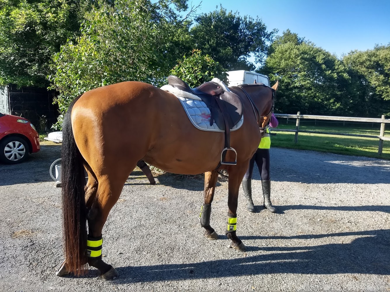 long face.jpg