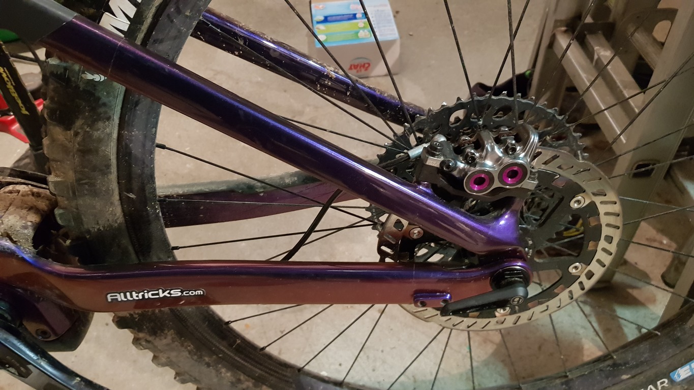 Magura blue.jpg
