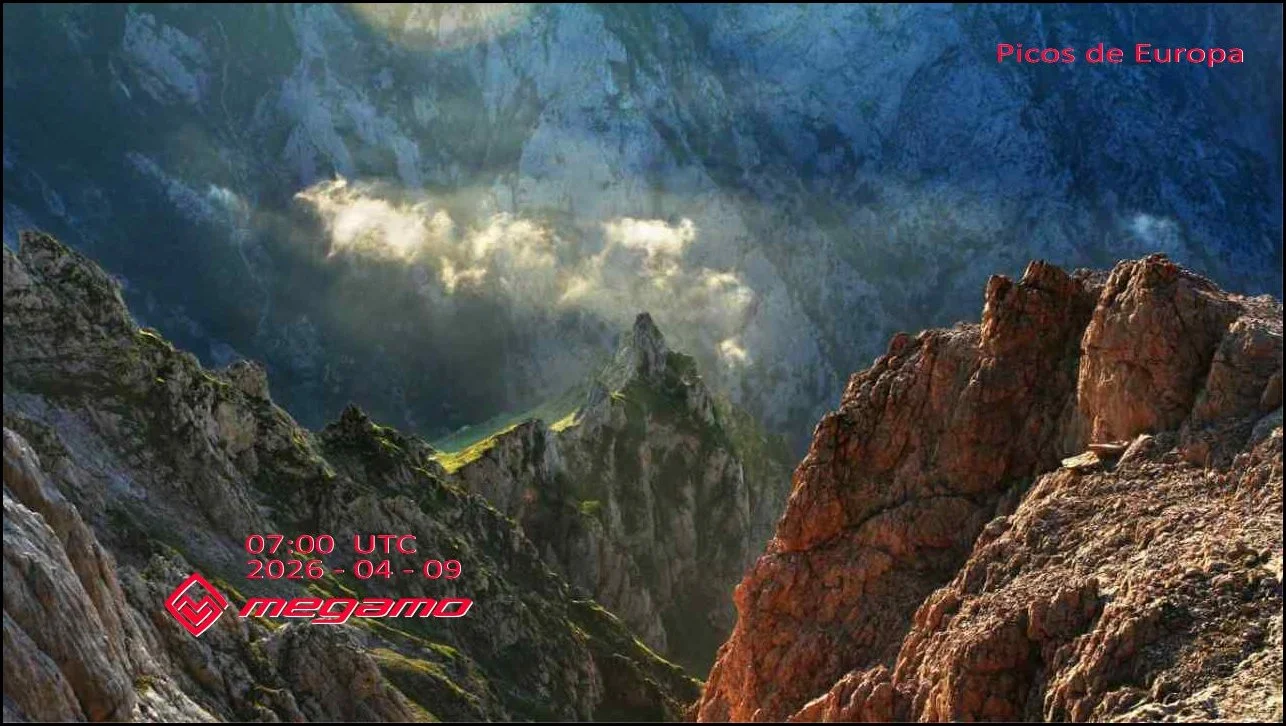 Megamo-Picos-09042026-1Red.White.webp