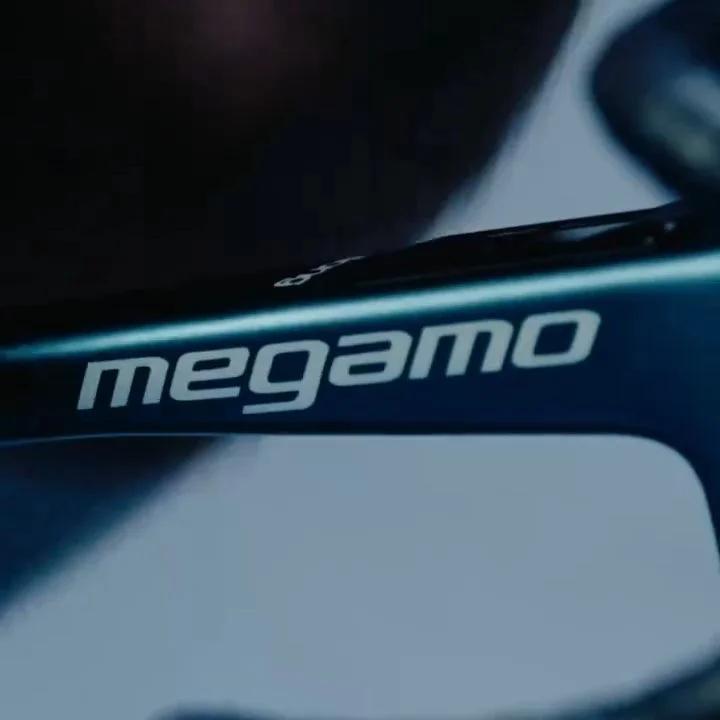 megamoupon3.webp