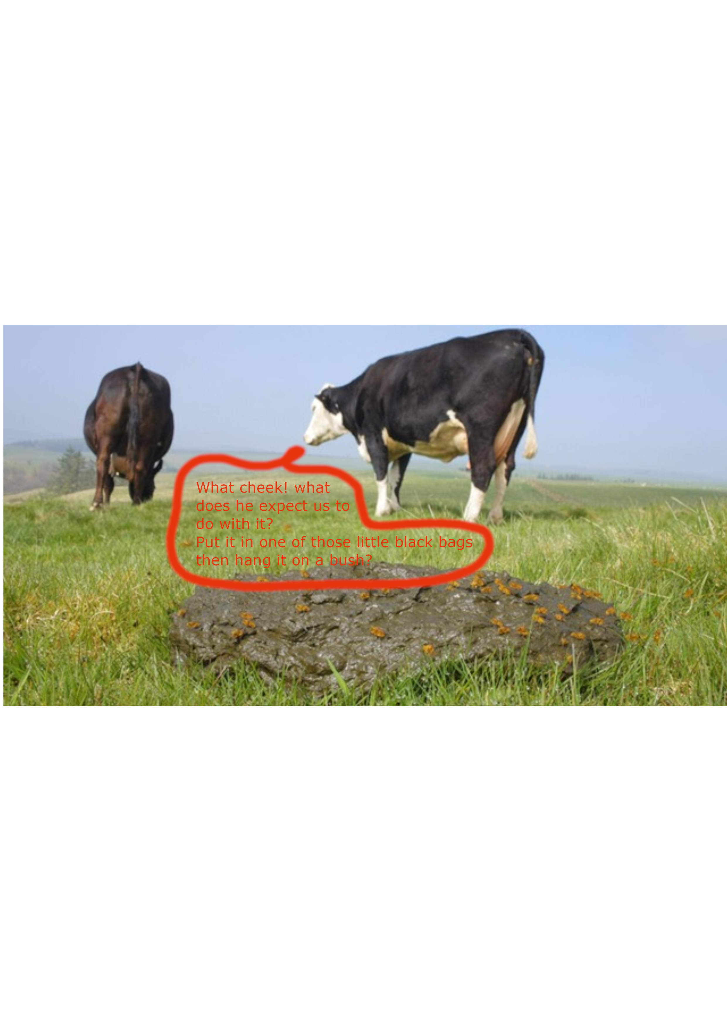 Moo Muck.png