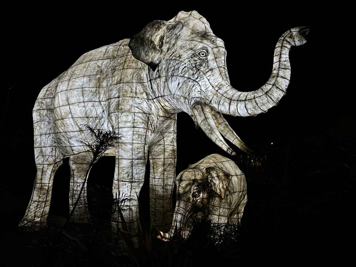 Mother Elephant and Baby.jpg