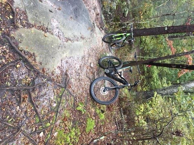 mtb2.JPG