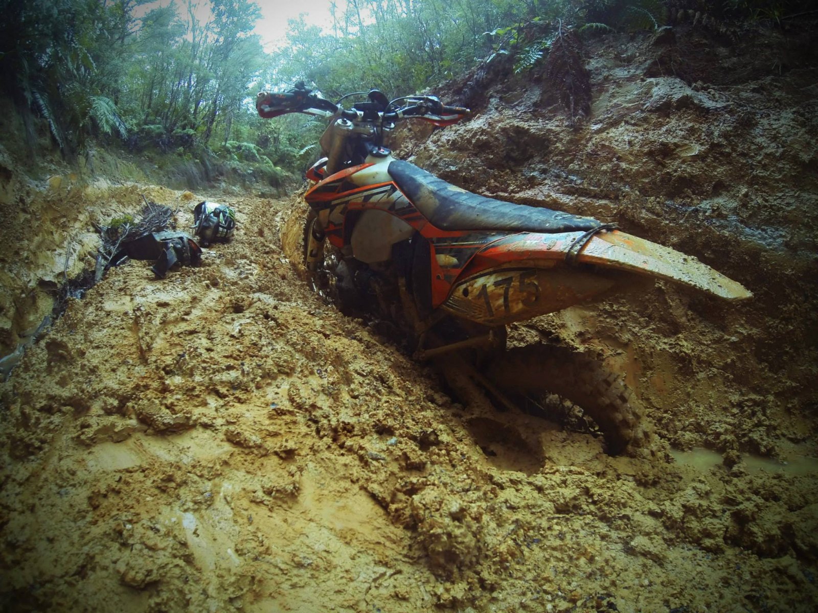 Mud bath.jpg