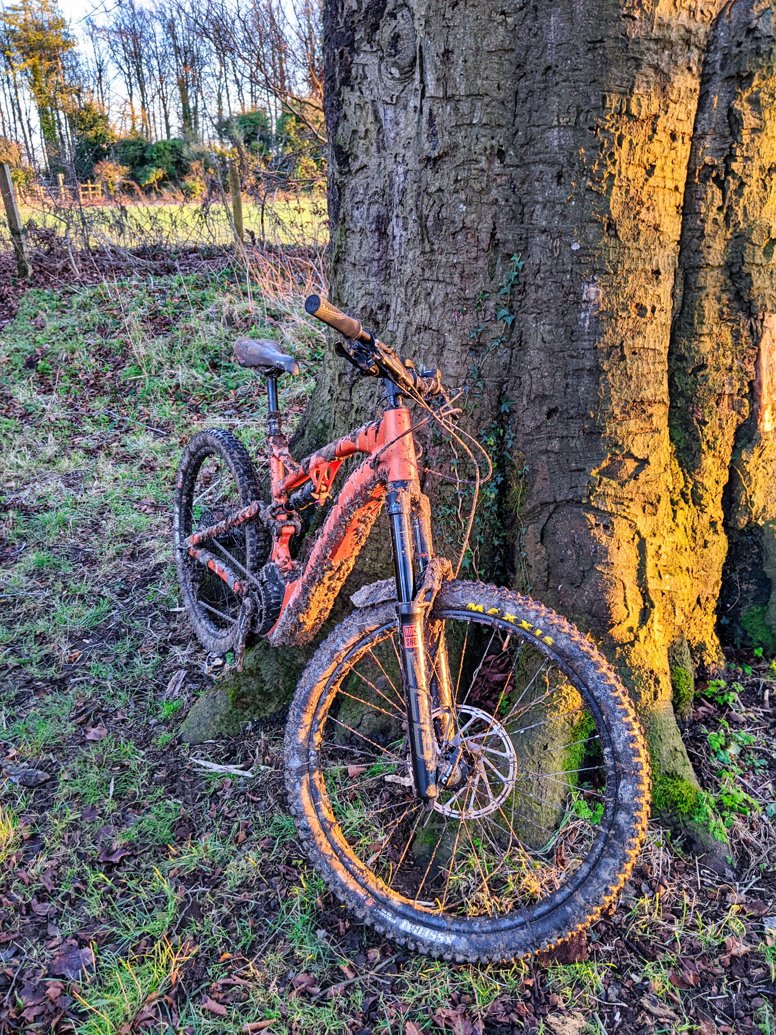 Muddy E-160.jpg
