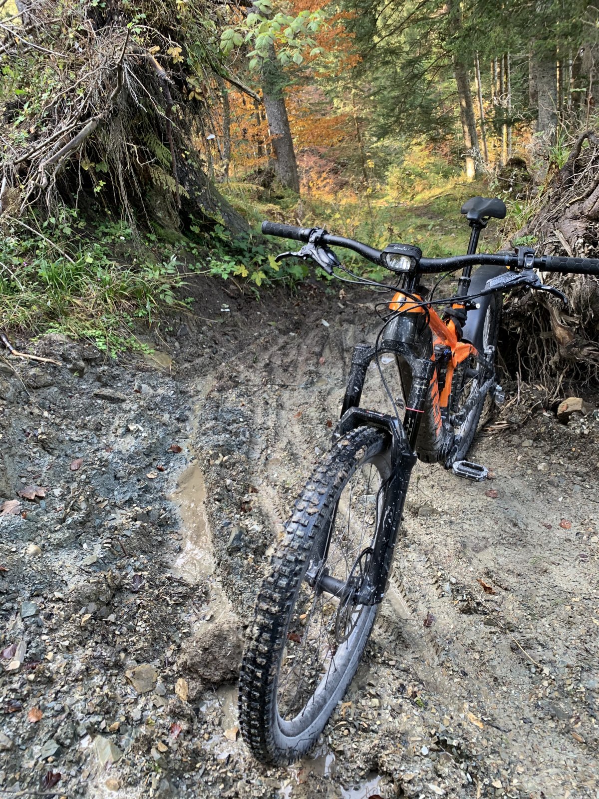 mudguards2.jpg