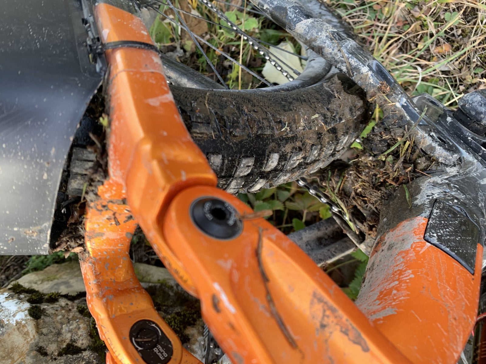 mudguards3.jpg