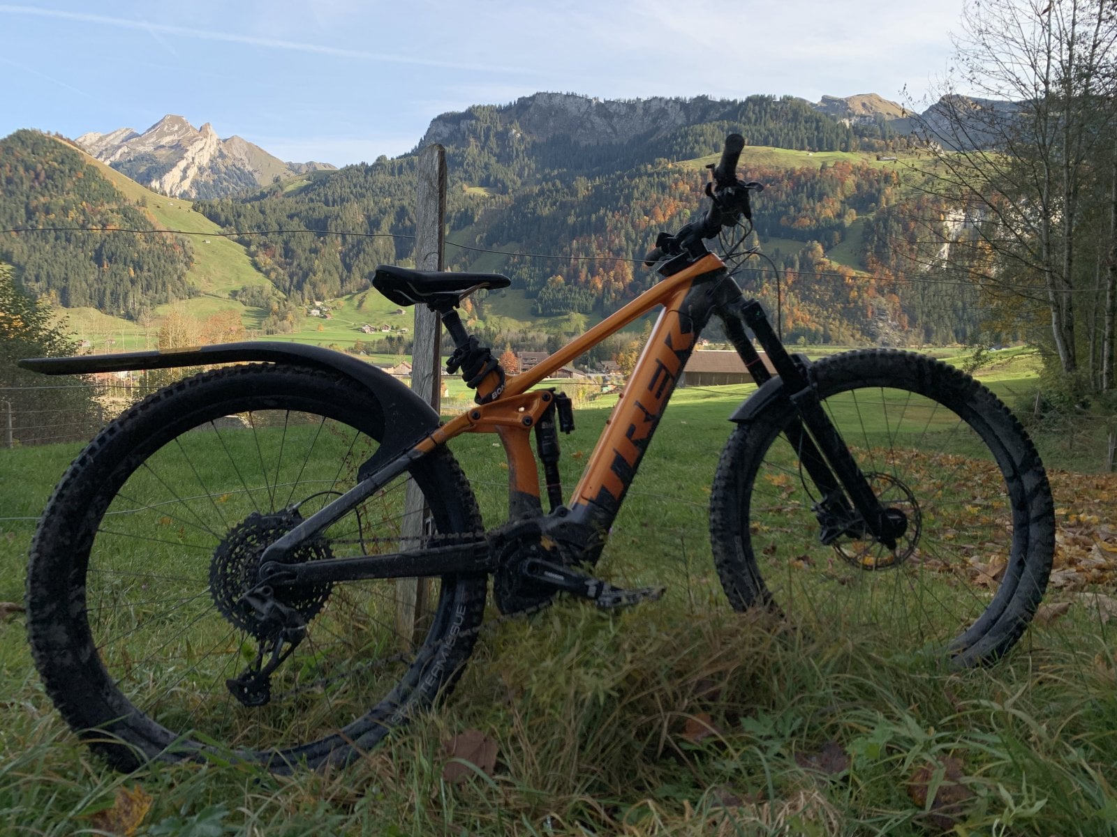mudguards4.jpg