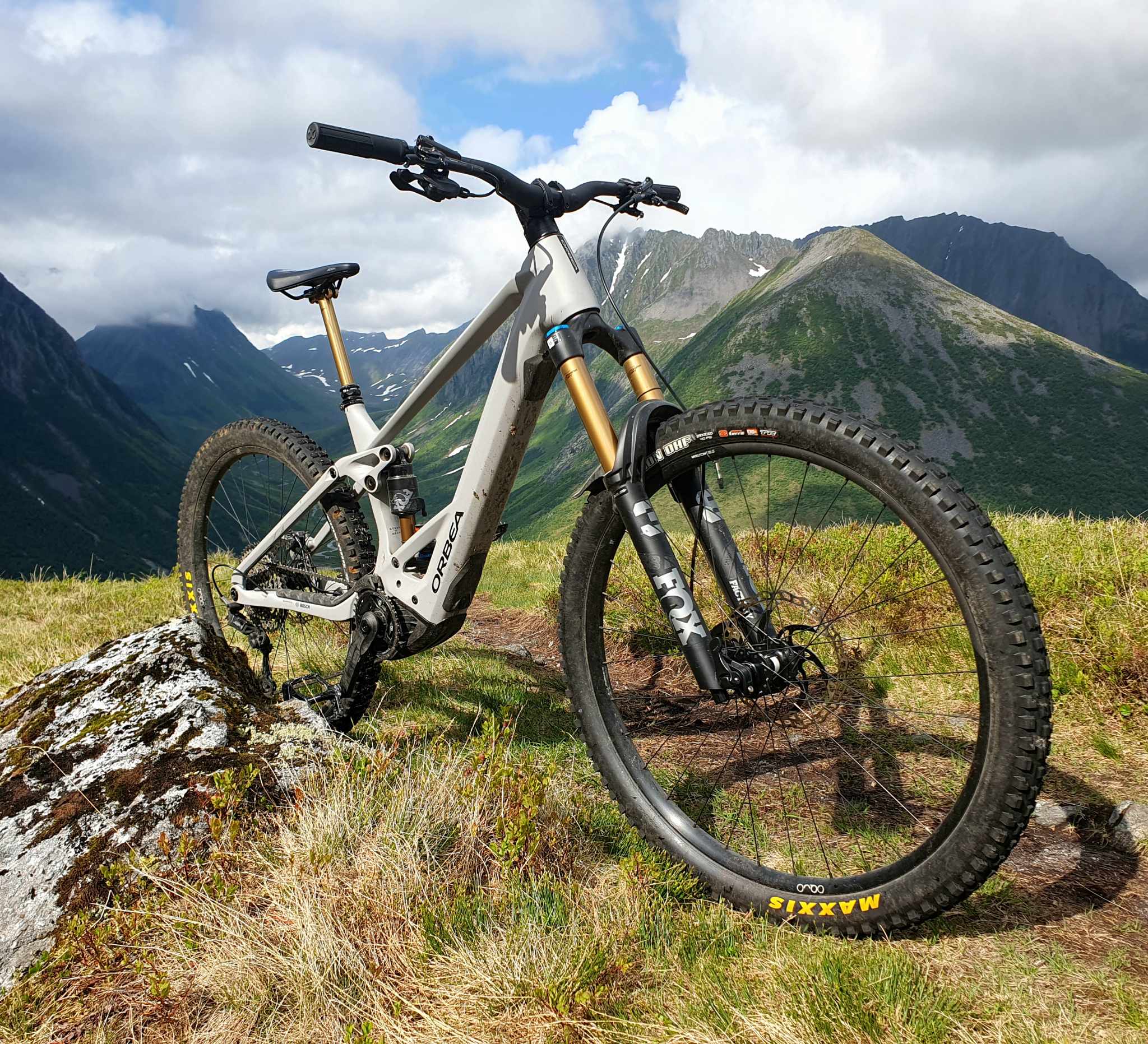 Orbea Wild 2023.jpg
