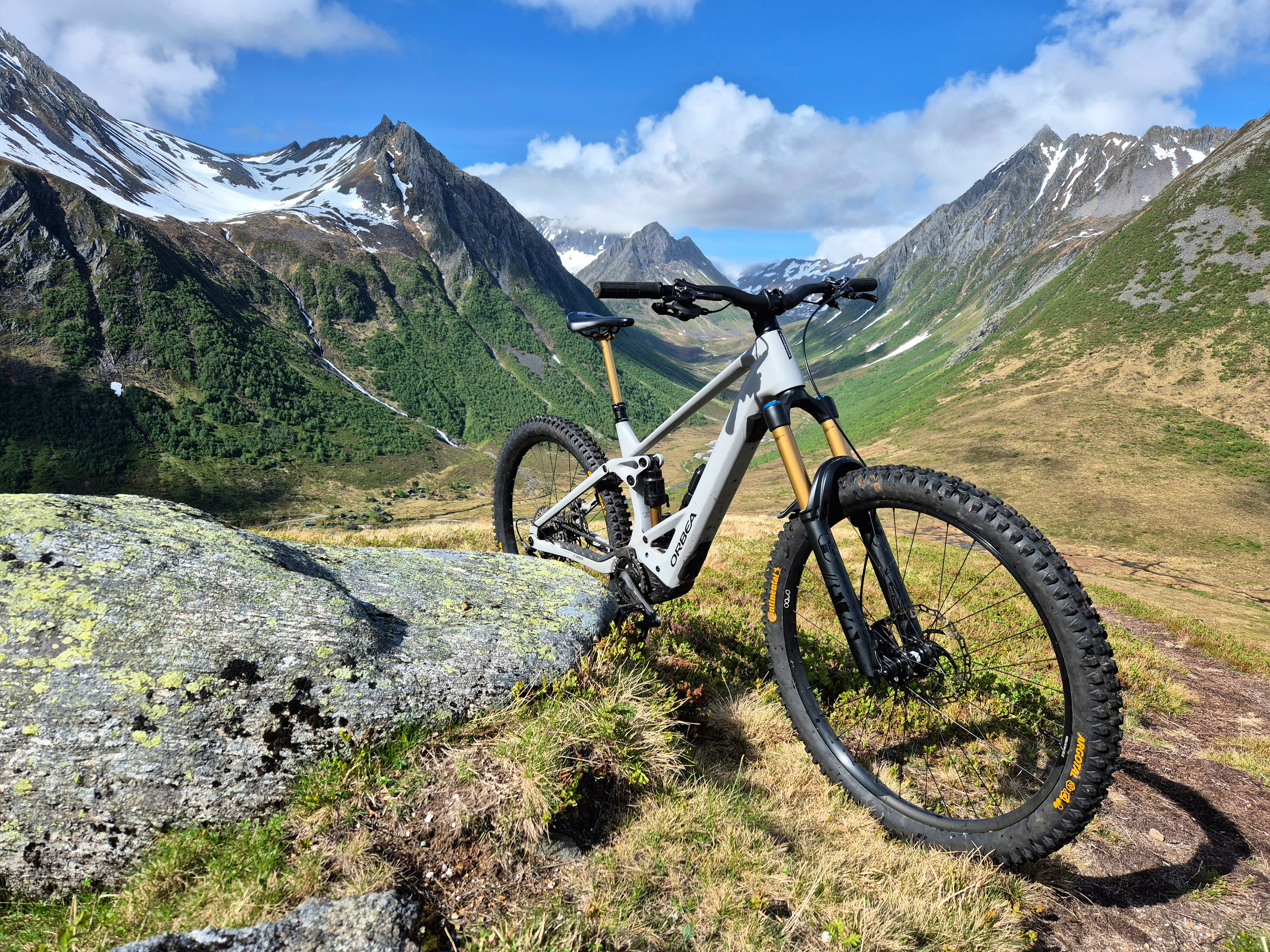 Orbea Wild.jpg