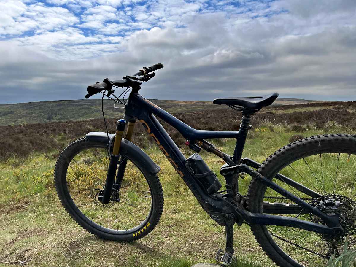 OrbeaLookingToWinterHill.jpg