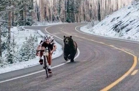 Ours_a.jpg