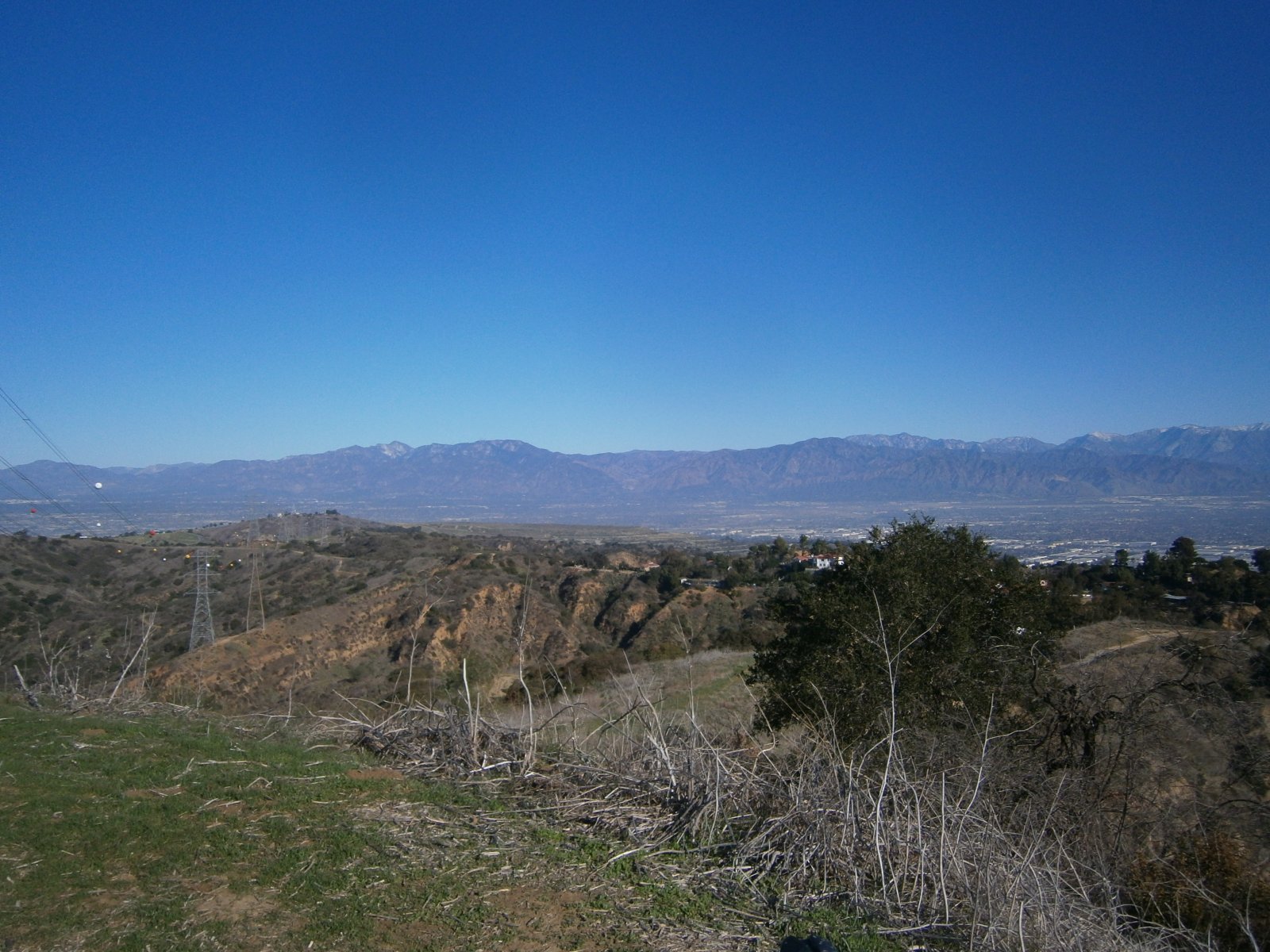 P2050011.JPG