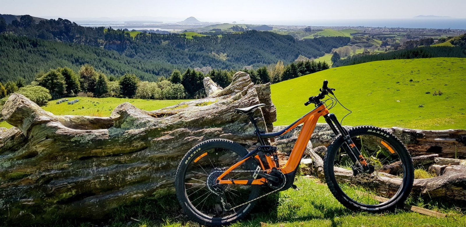 Papamoa hills.jpeg