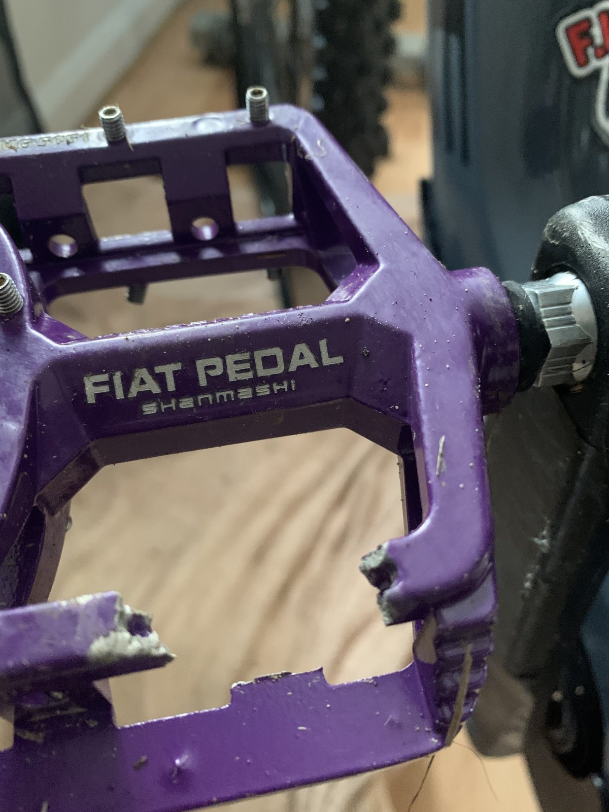 pedal1.jpg