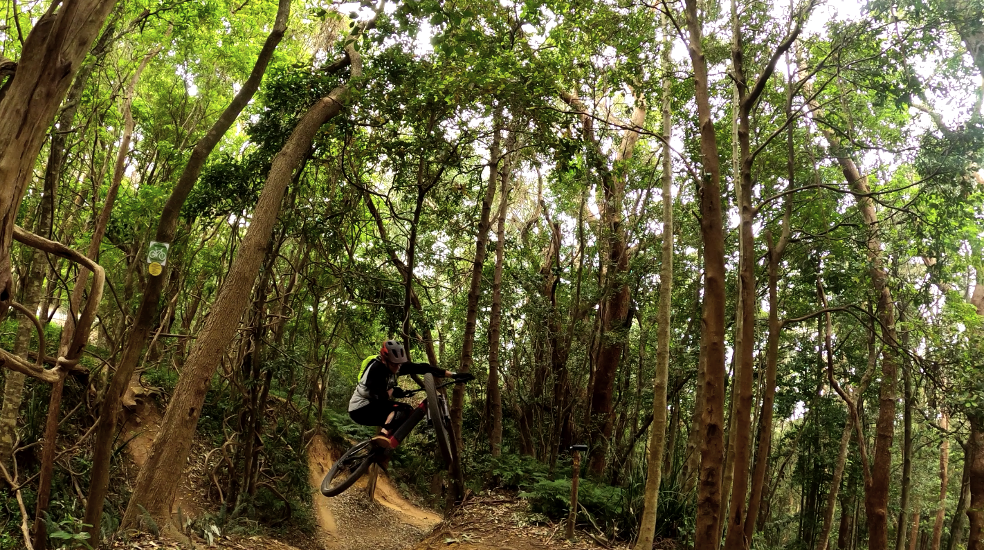 Pete mtb table.png