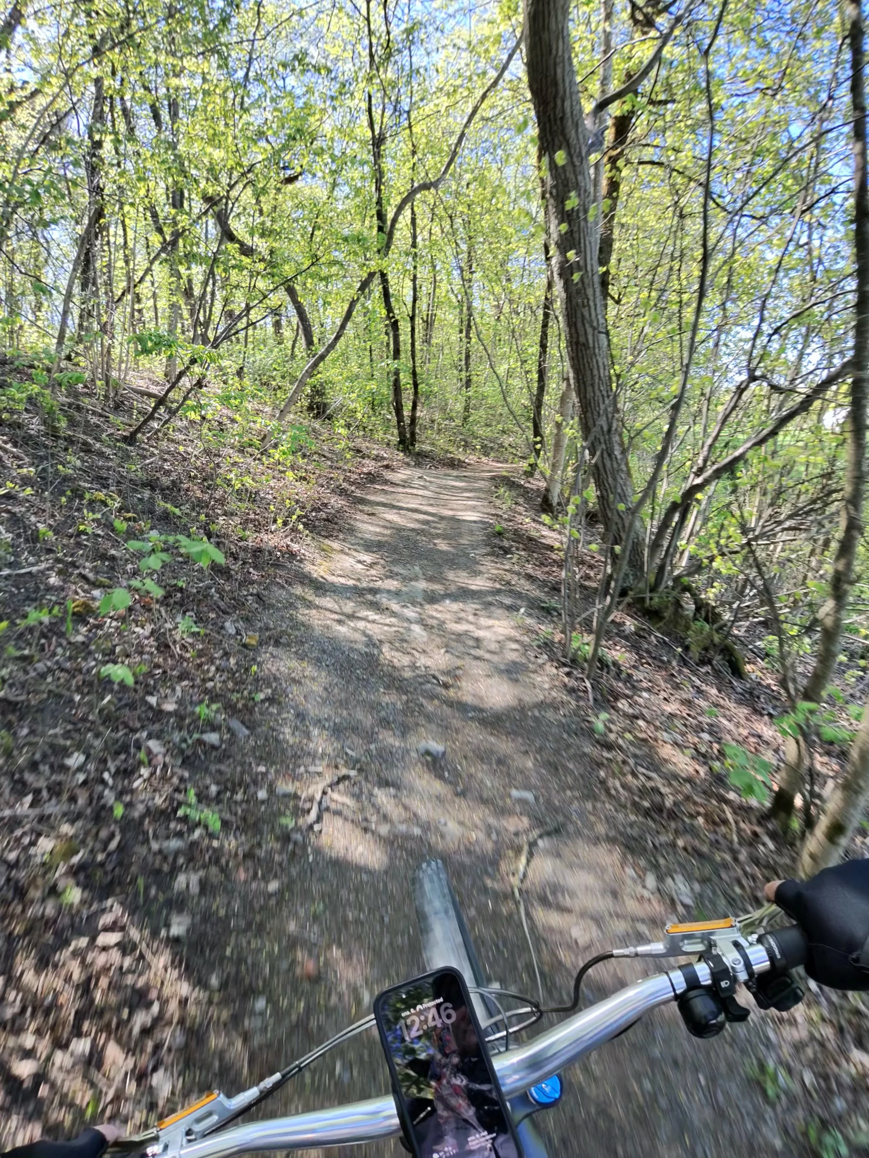 photo-3603_singular_display_fullPicture.webp