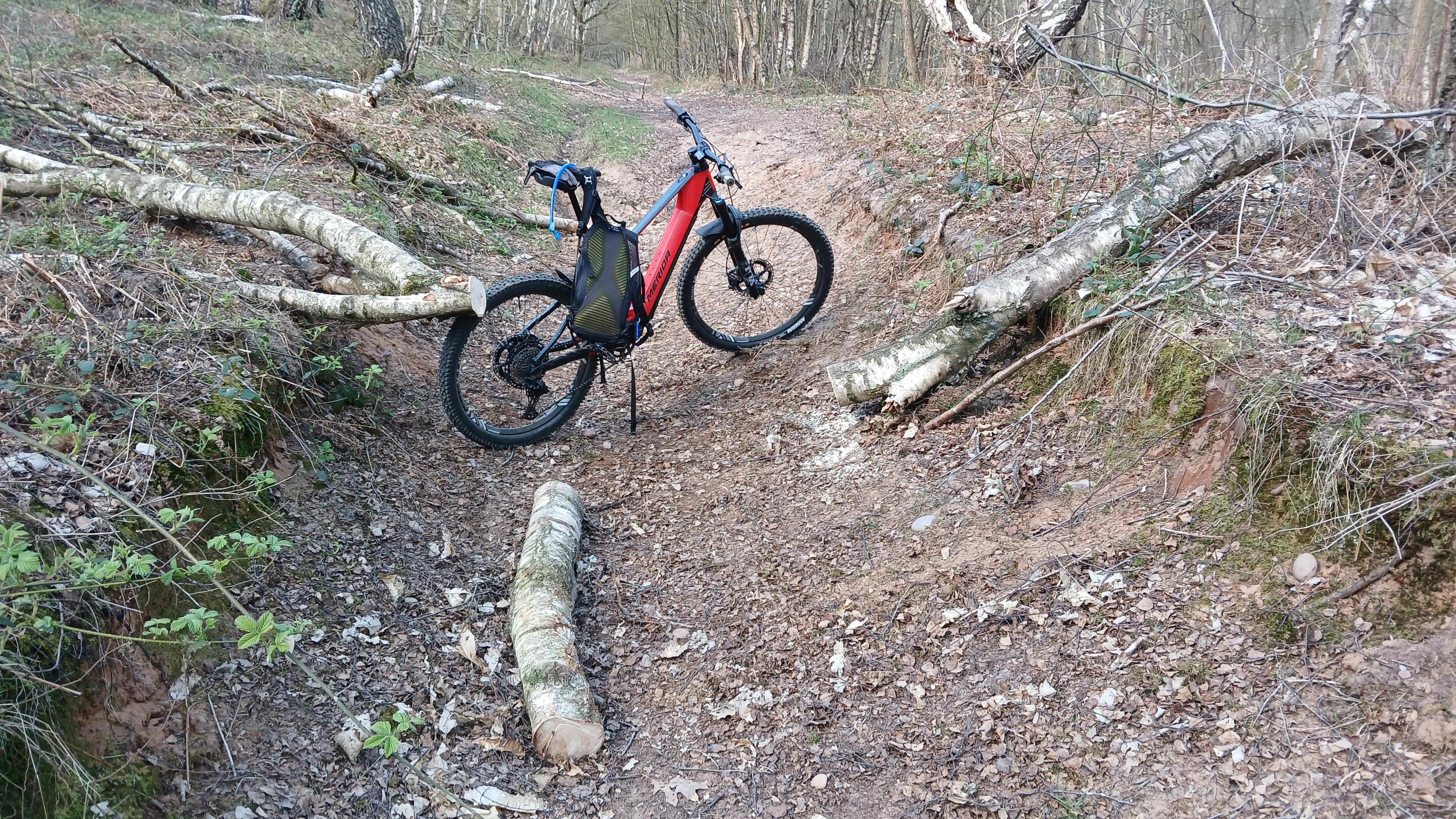 Pines Blockage 1.jpg