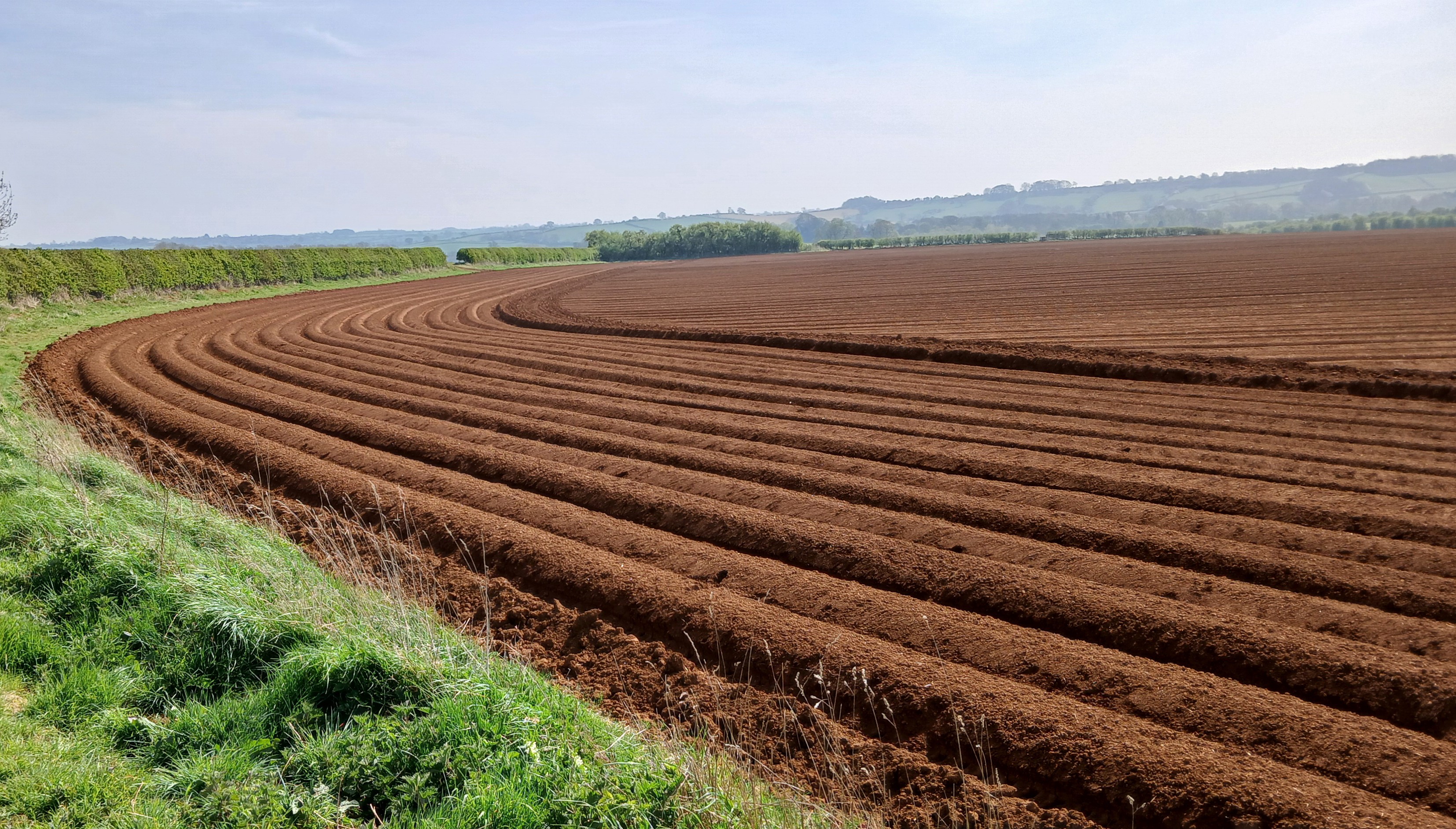 Ploughed field Jubilee Way.jpg