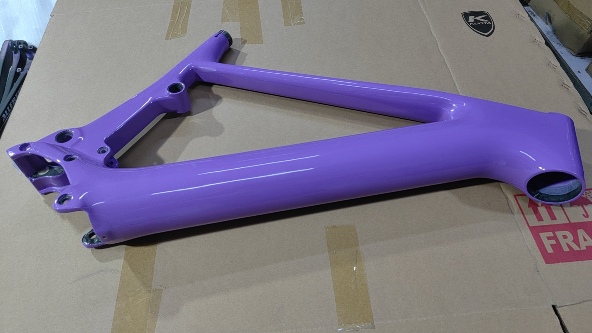 purple.jpeg