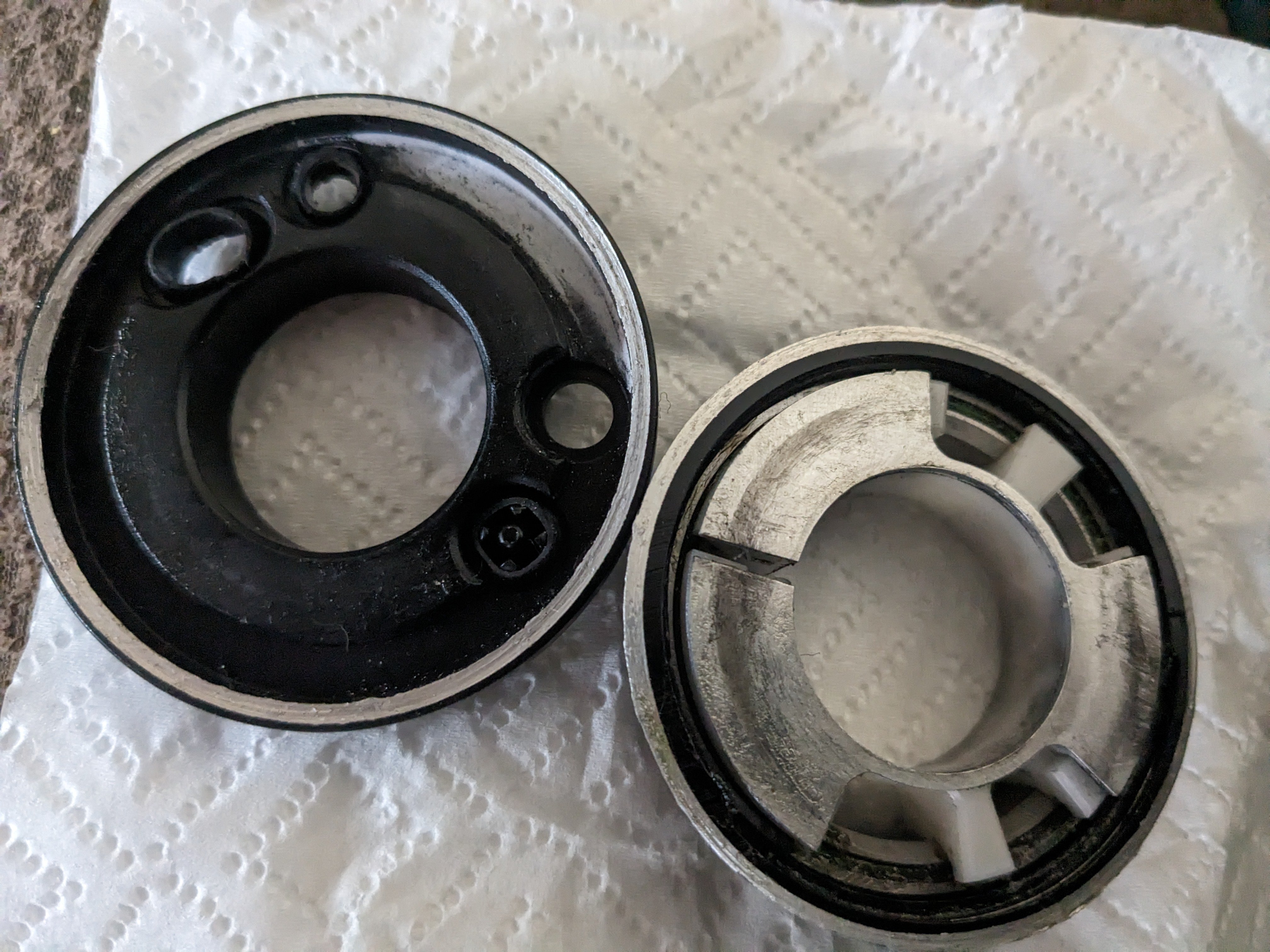 PXL_20240405_225603301.jpg
