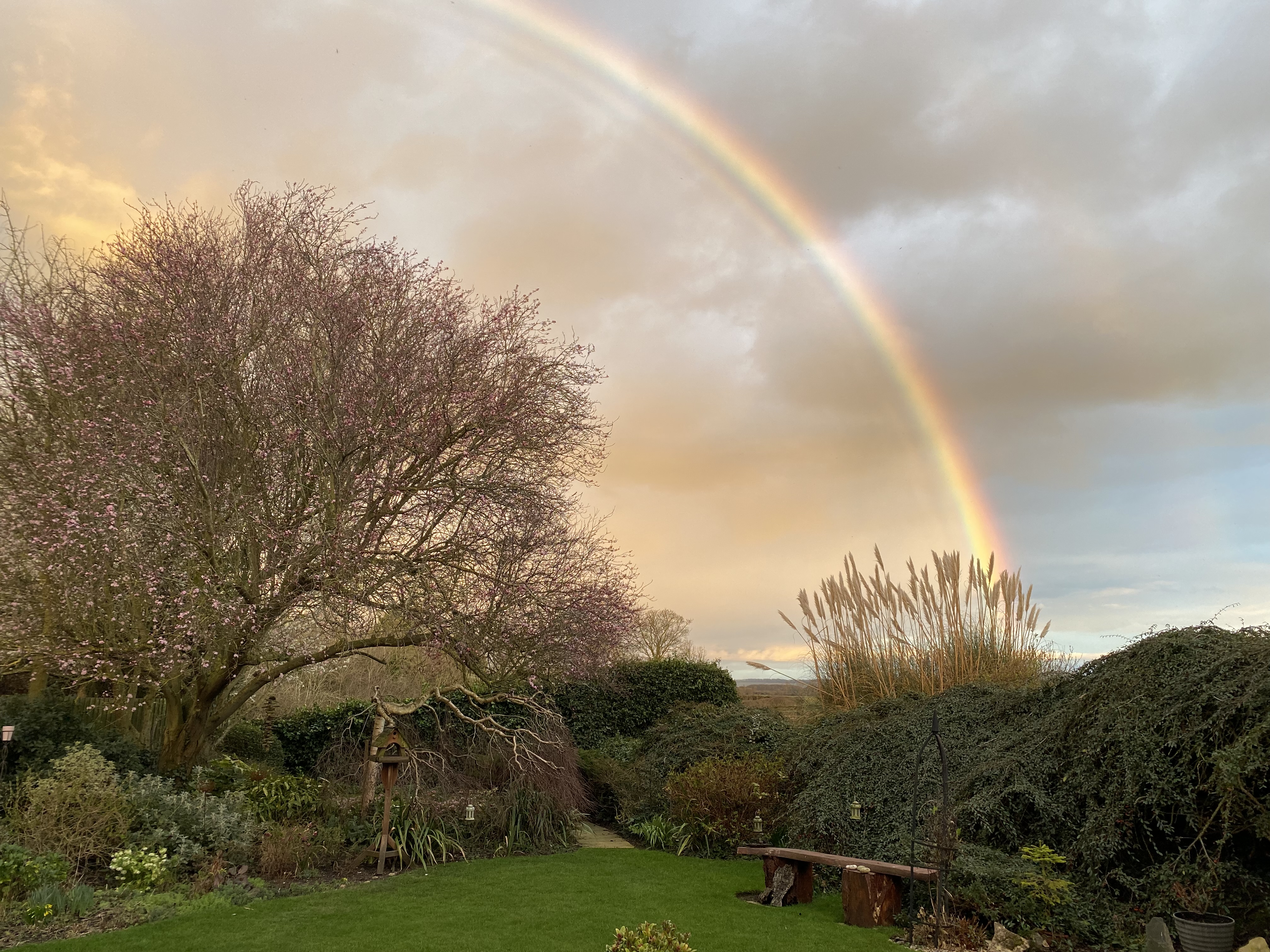 Rainbow 1.jpg
