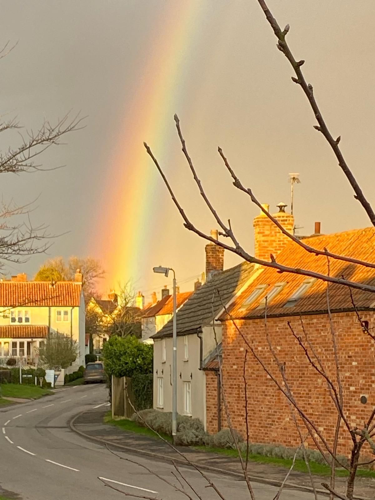 Rainbow 4.JPG