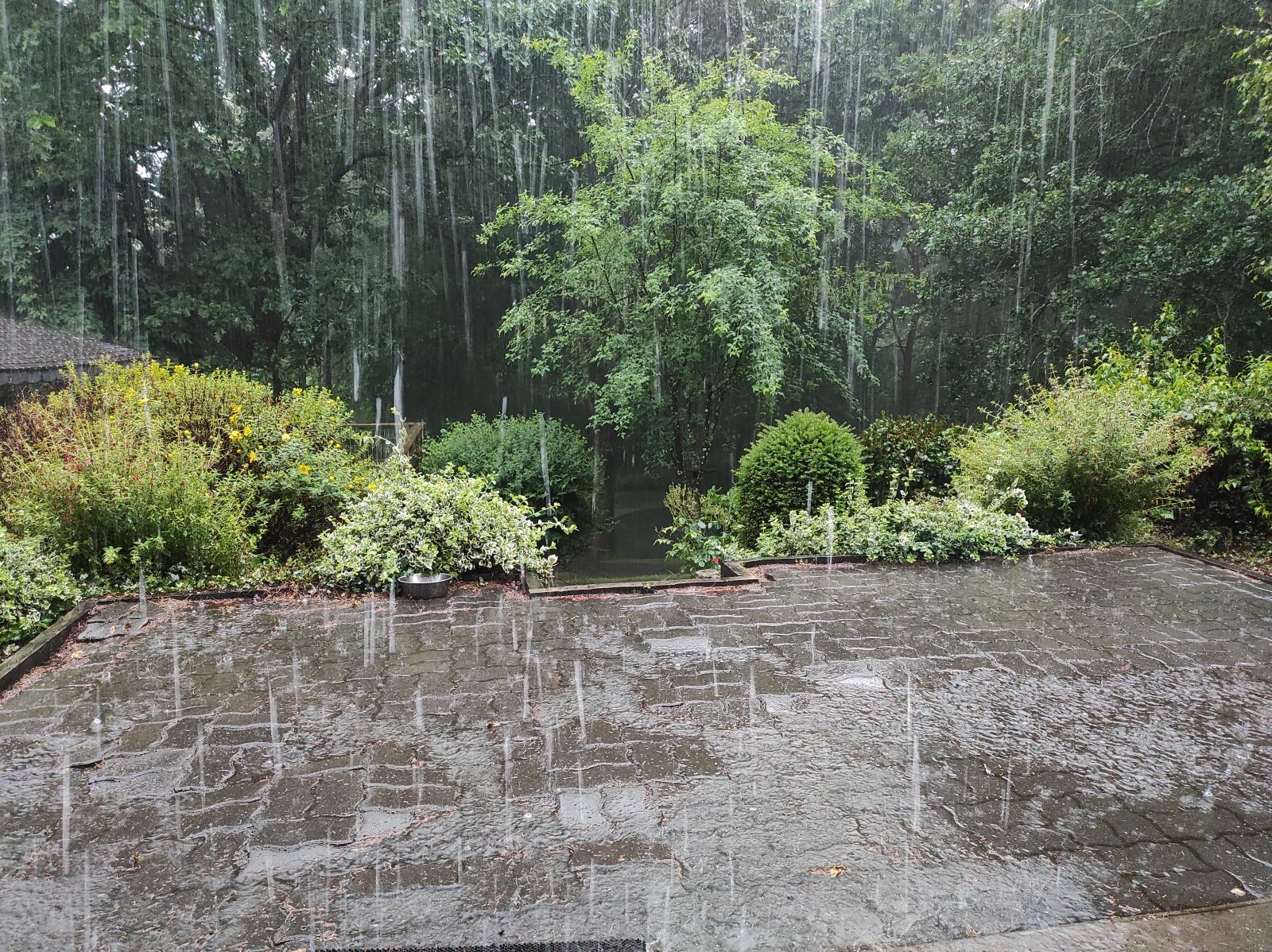 raint.jpg