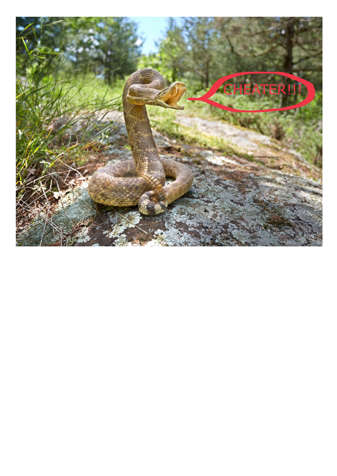 Rattler.png