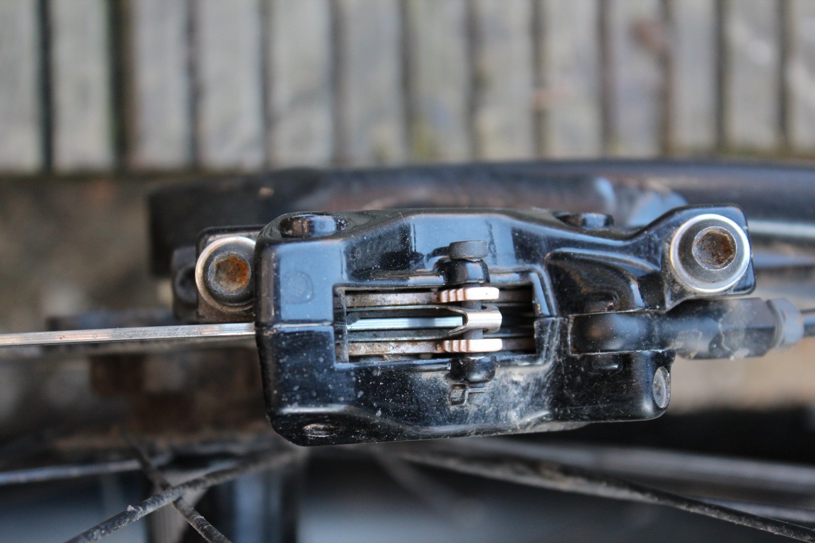 REAR CALIPER.JPG