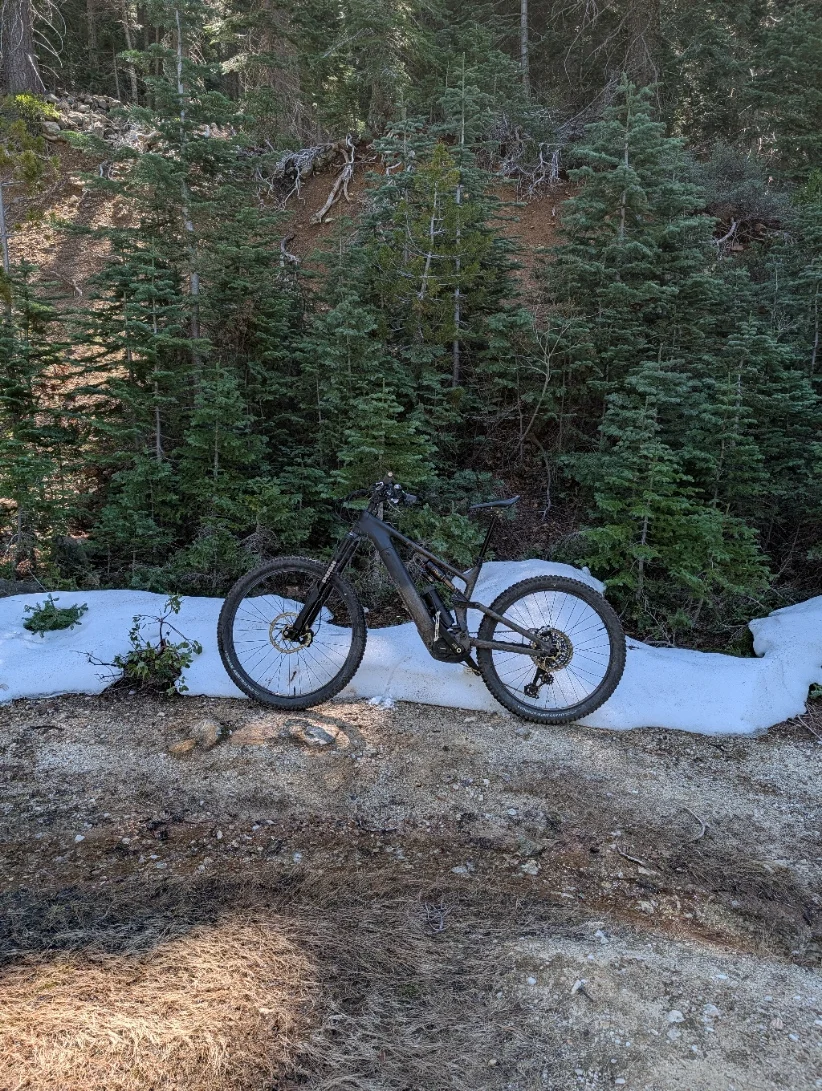 ride11.webp