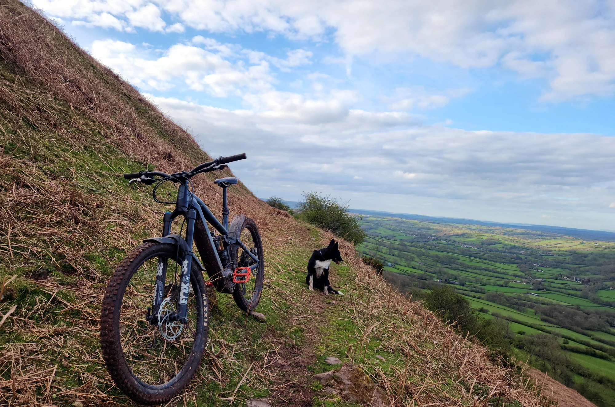 ride2.webp