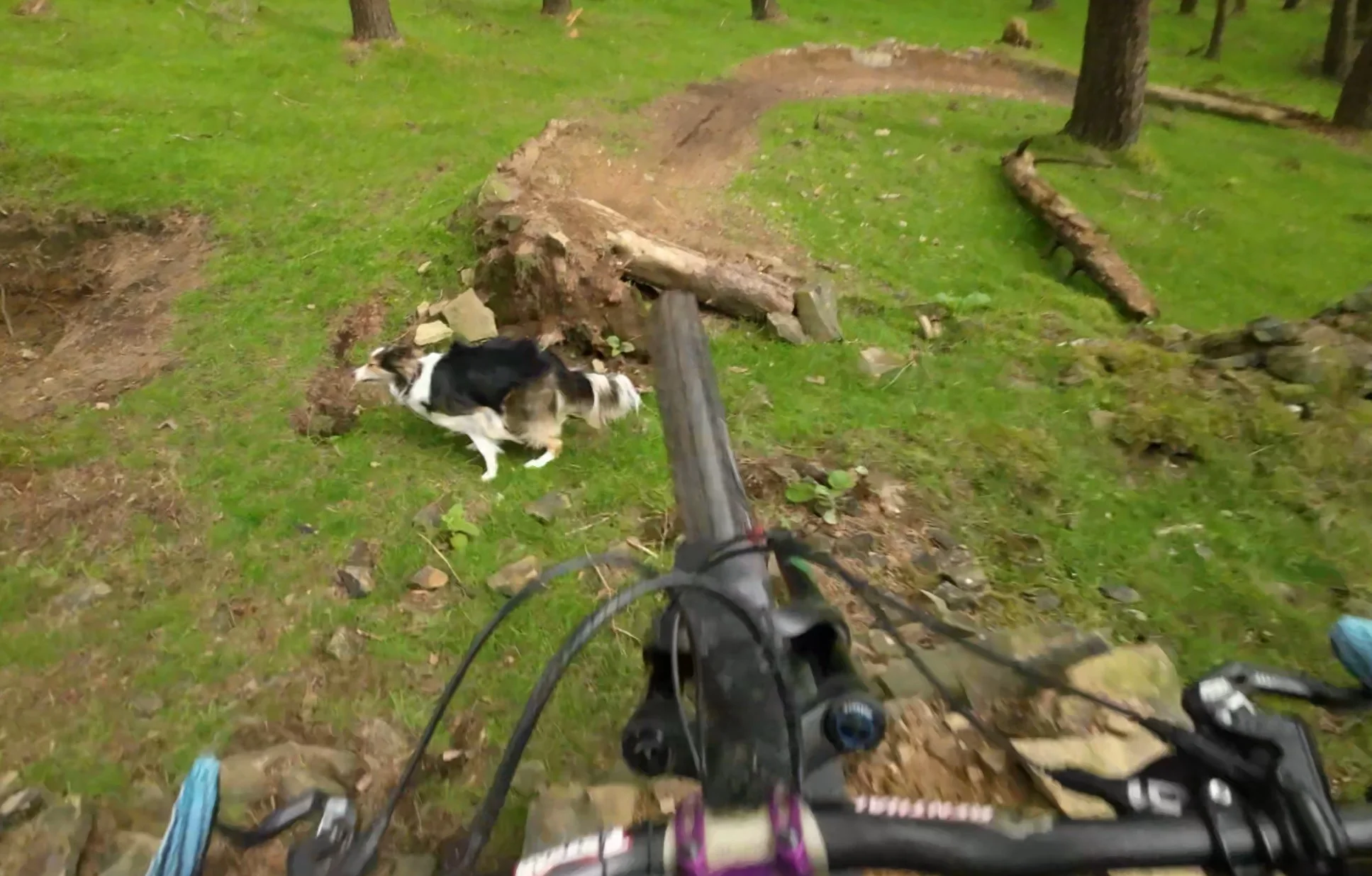Rocksy between jump 2.webp