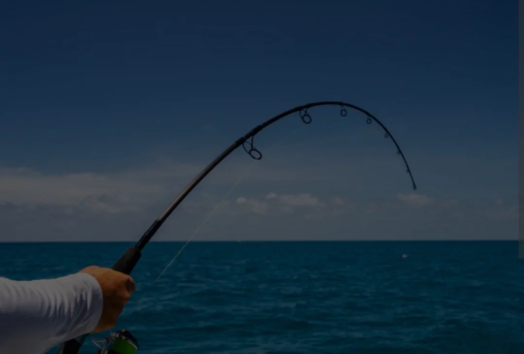 Screenshot_20260315_184326_Chrome.webp