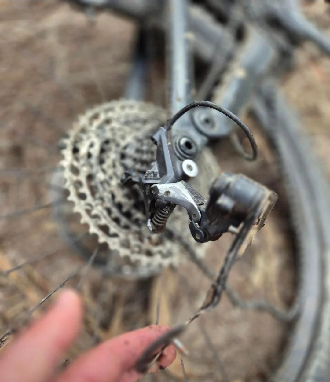 Screenshot_20260523_092133_Strava.webp