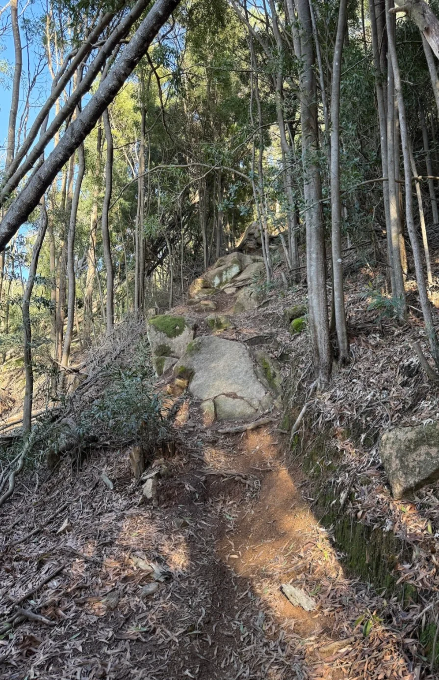 Screenshot_20260604_140856_Trailforks.webp