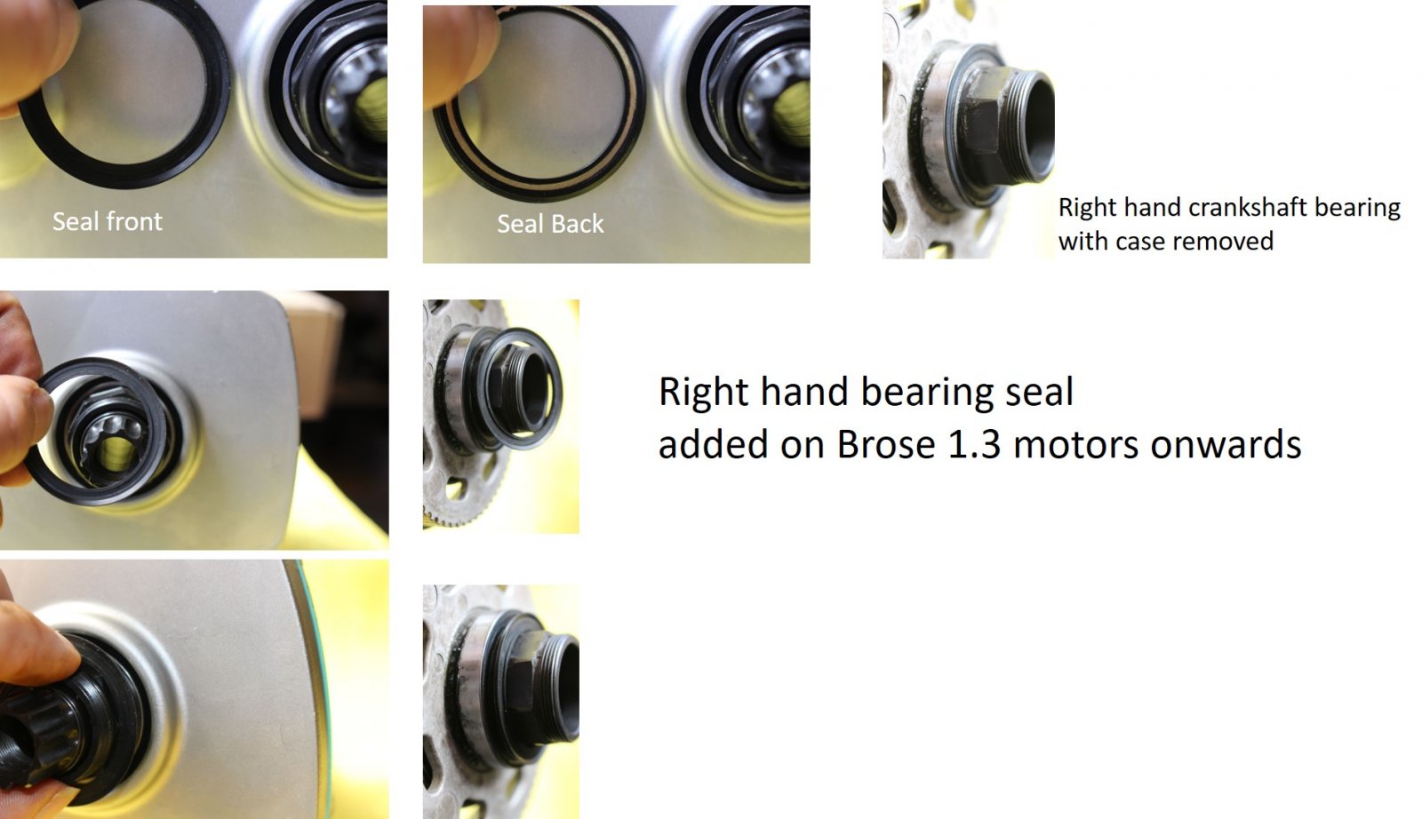 Seal explain 3.jpg