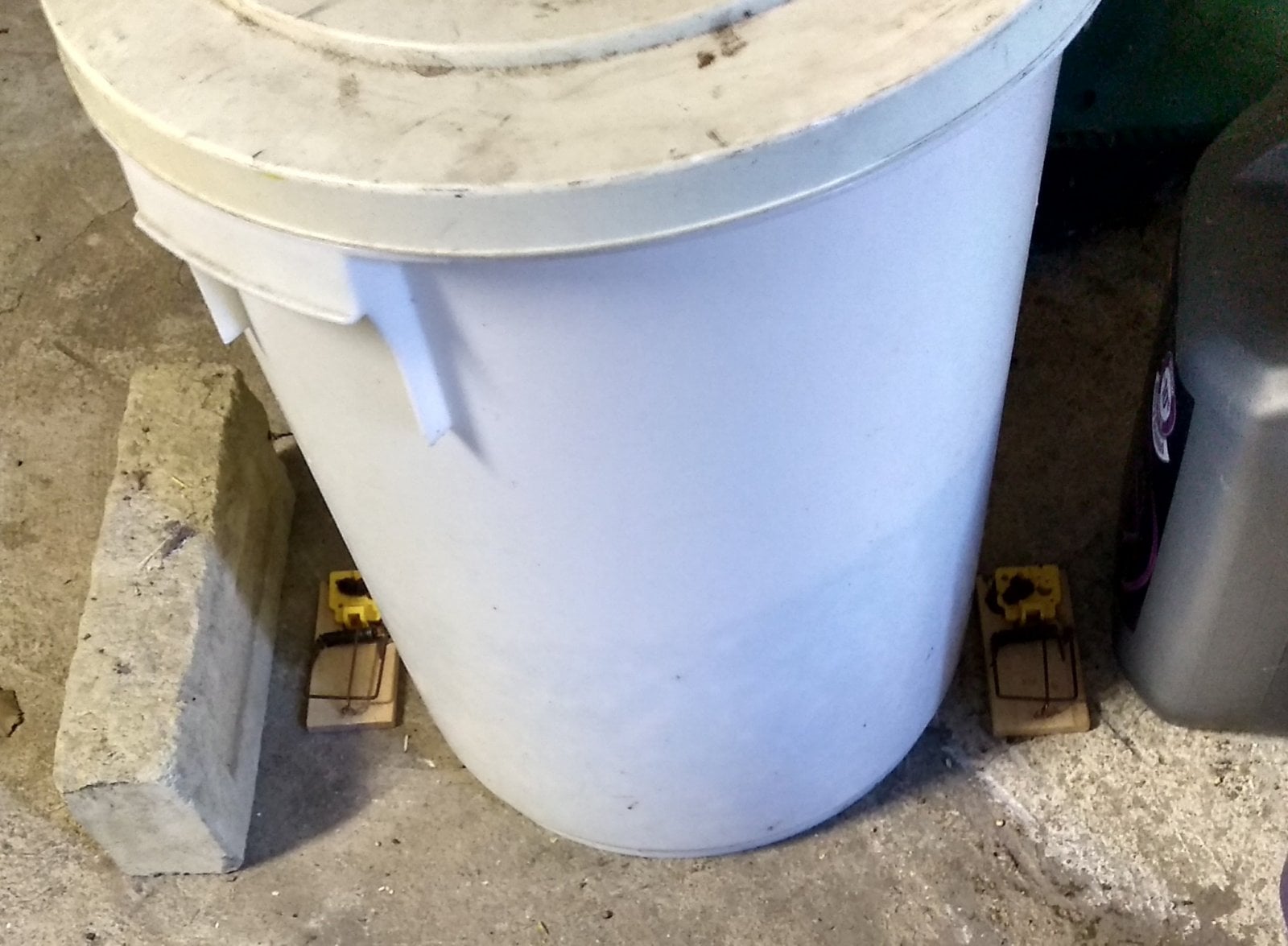 Seed bin.jpg