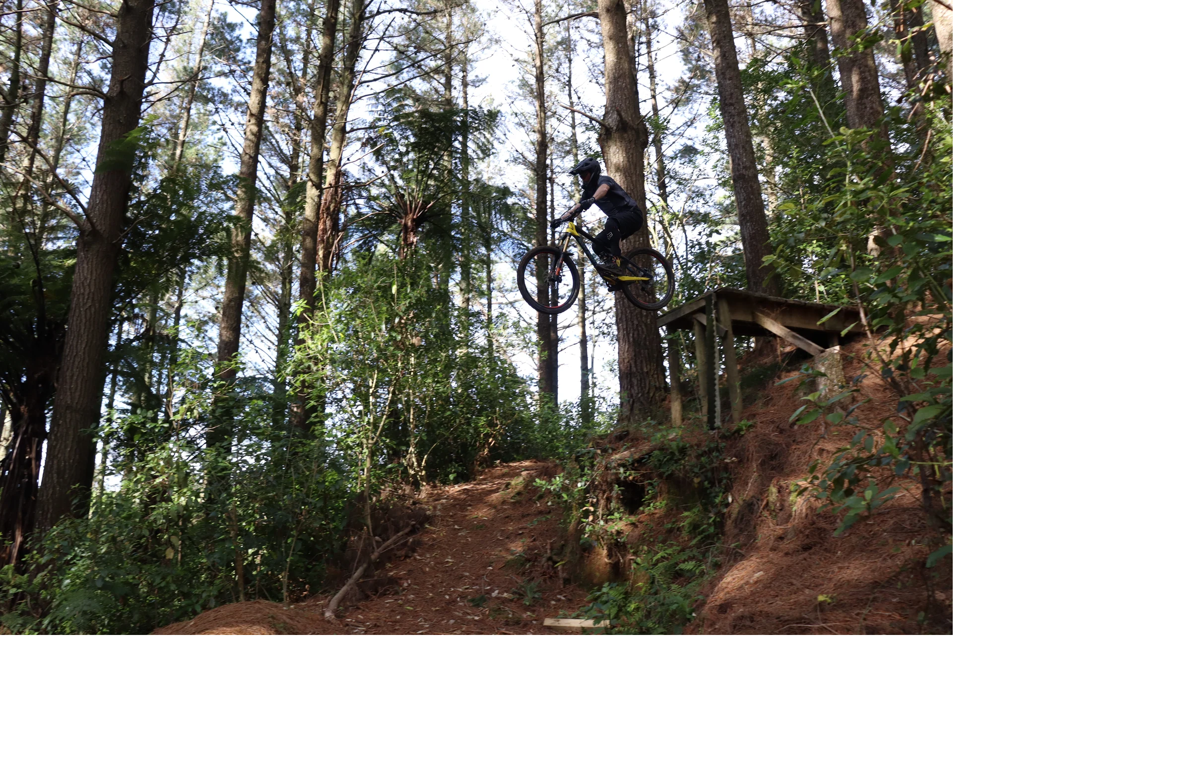 Send it Sunday.png