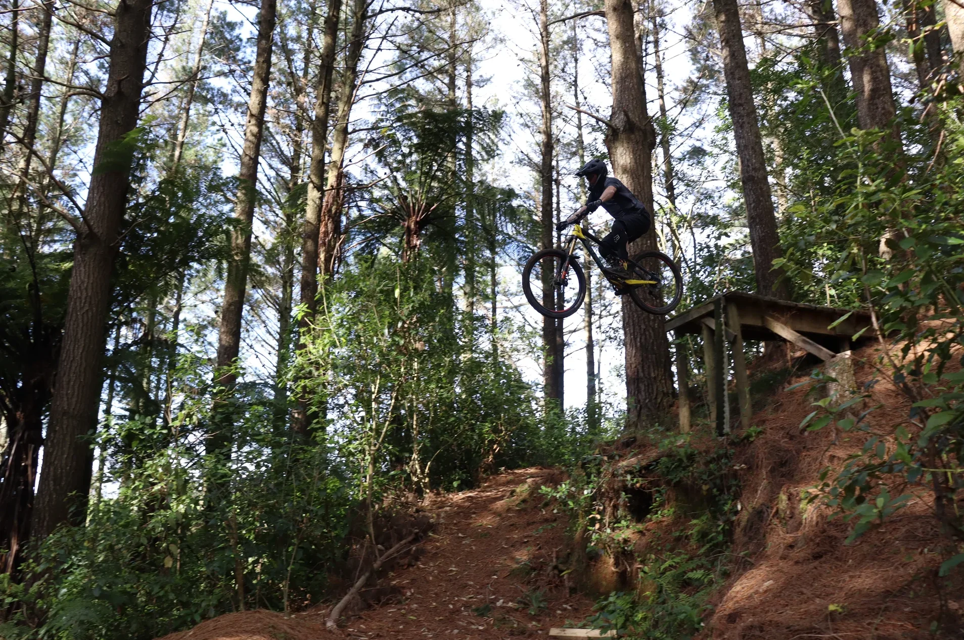 Send it Sunday.webp