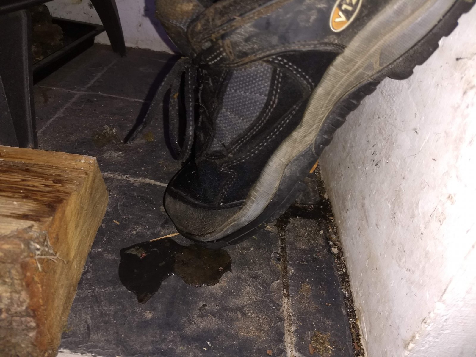 shoes.jpg