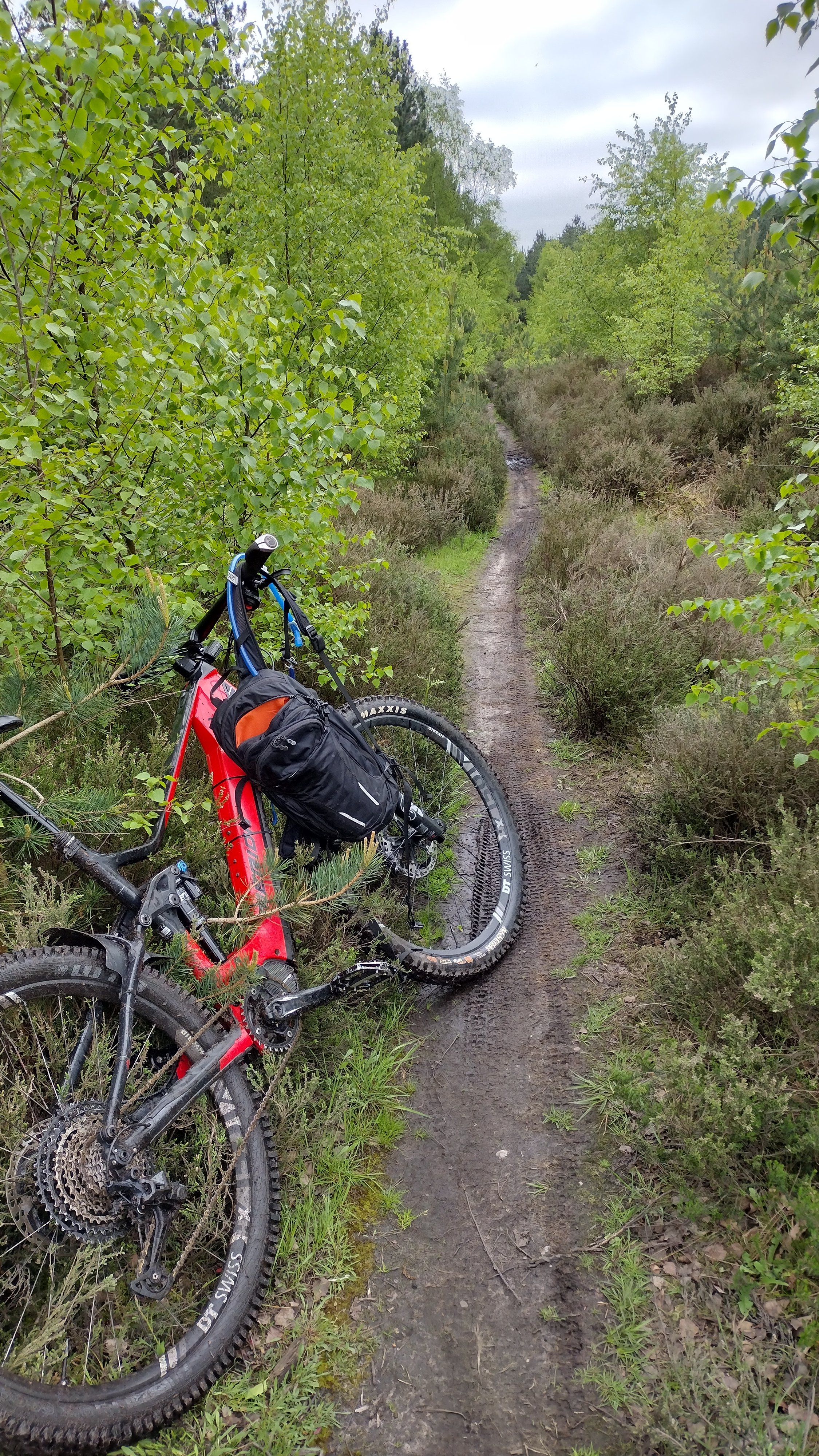 Singletrack.jpg