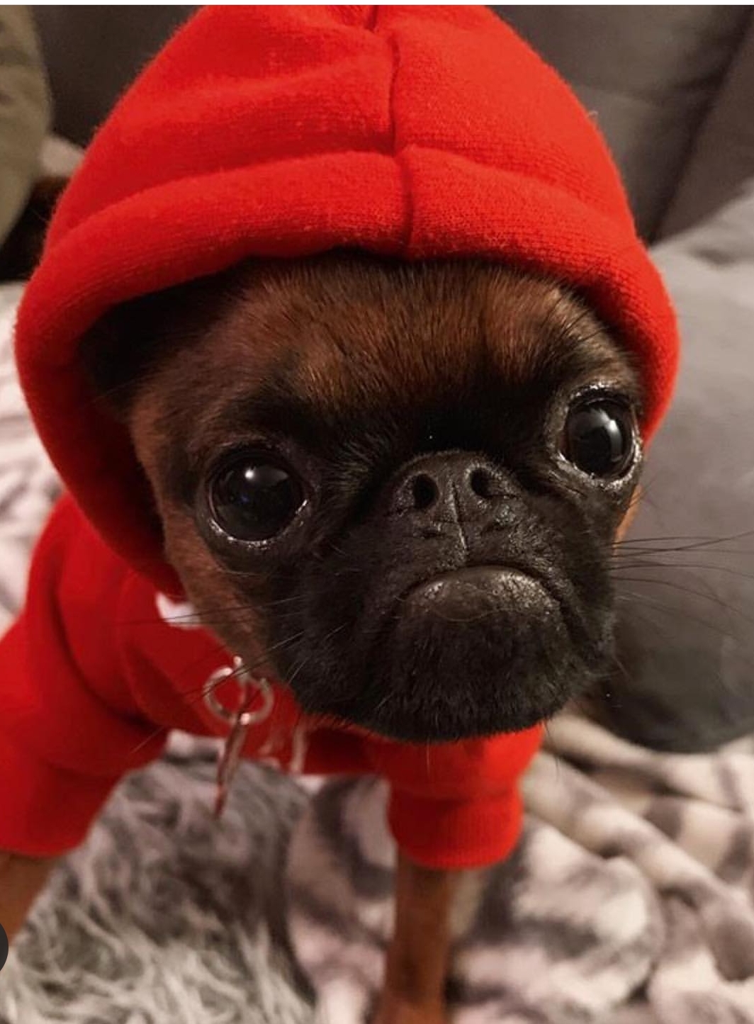 SmartSelect_20190927-065750_Instagram.jpg