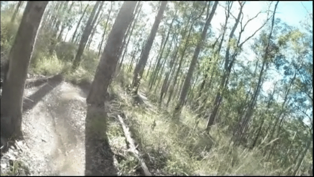 SmartSelect_20200530-213612_Gallery.gif
