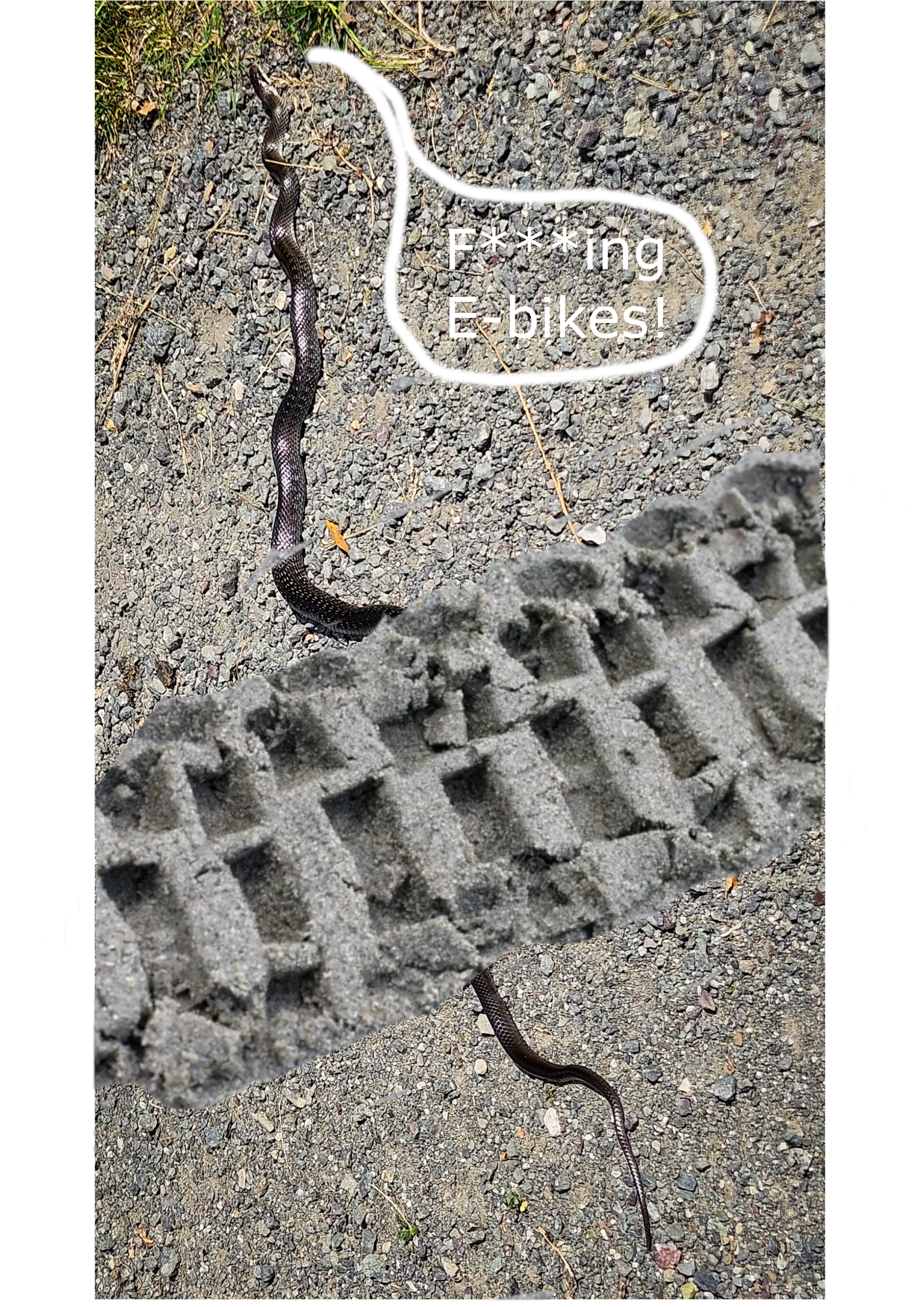 Snake track.png