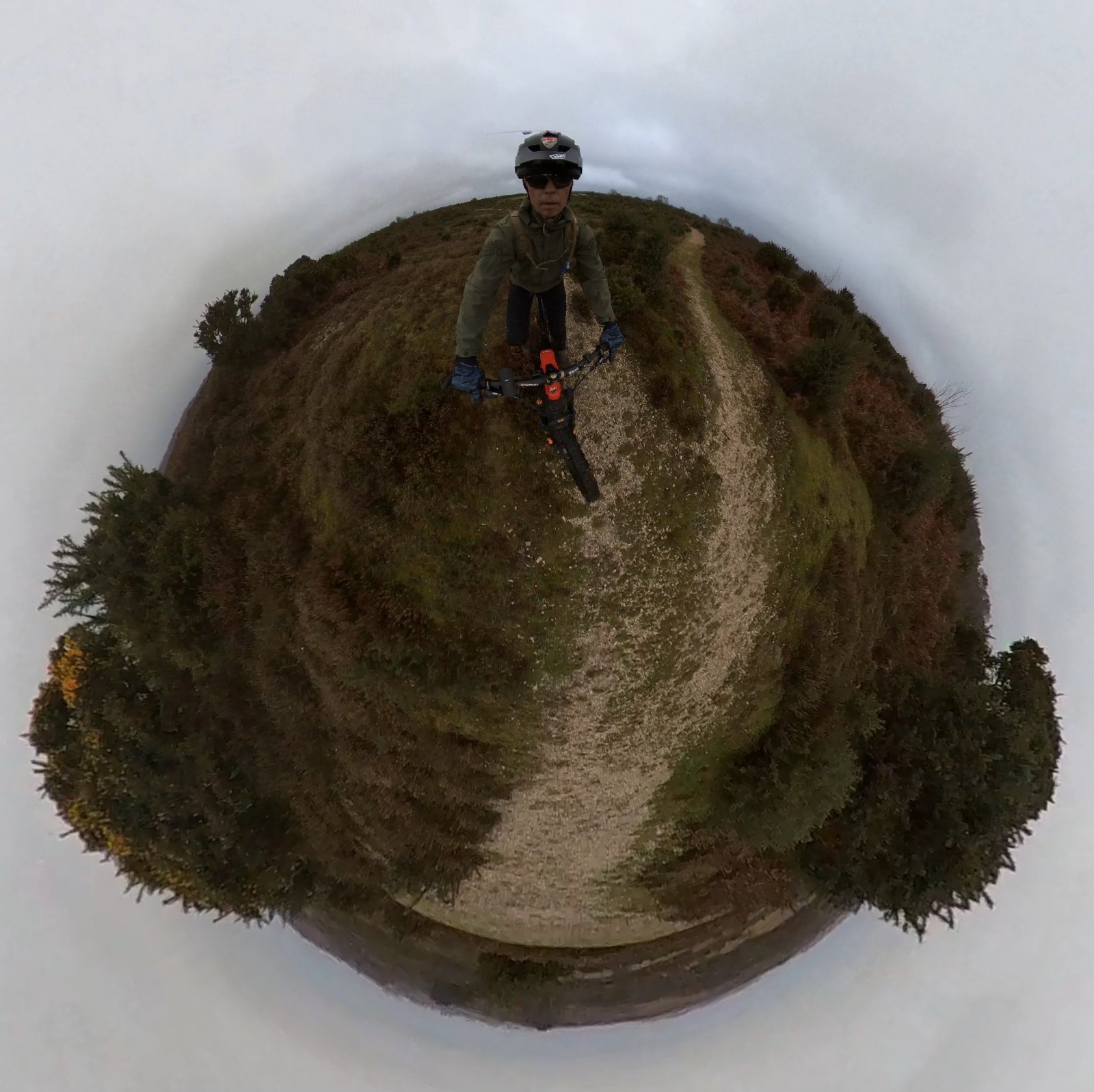 Snapshot_202112346_091200.jpg